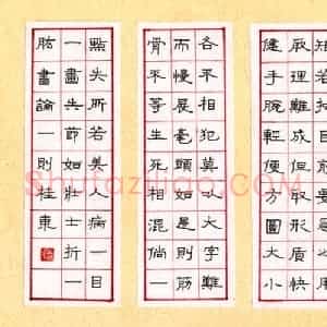 梁桂东 硬笔隶书作品《书论一则》图片欣赏