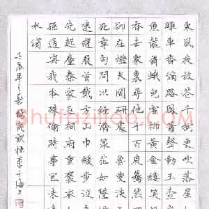杨宠观 硬笔楷书作品《古诗词》图片欣赏