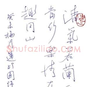 陈克年 硬笔行书作品《集兰亭句》图片欣赏