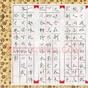 林子妍(少儿组 11岁 铜奖)硬笔书法大赛 获奖作品图片欣赏