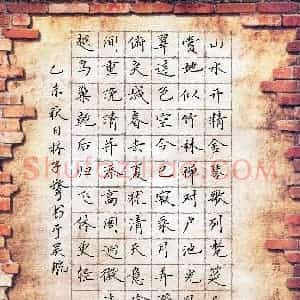 林子擎(少儿组 11岁 金奖)硬笔书法大赛 获奖作品图片欣赏