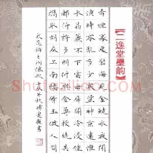 杨宠观 硬笔楷书作品《晁补之词洞仙歌》图片欣赏