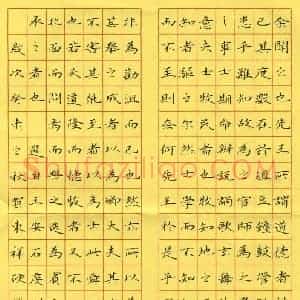 贺东祥 硬笔楷书作品《王安石虔州学记》图片欣赏