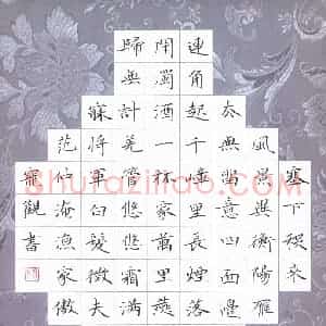 杨宠观 硬笔楷书作品《范仲淹词渔家傲》图片欣赏