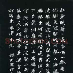 周游(成人组 优秀奖)硬笔书法大赛 获奖作品图片欣赏
