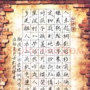 周擎 硬笔楷书作品《水云楼词两首》图片欣赏