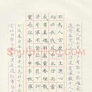 罗娜 硬笔楷书作品《灵飞经集诗》图片欣赏