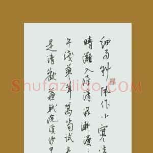 陈文轩 硬笔行书作品《苏轼浣溪沙》图片欣赏