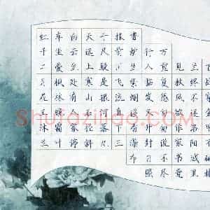 王沐兰(少儿组 10岁 铜奖)硬笔书法大赛 获奖作品图片欣赏