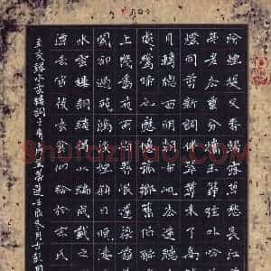 周擎 硬笔楷书作品《水云楼词之青房并蒂莲》图片欣赏