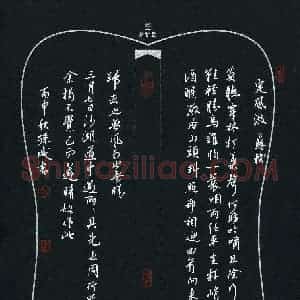 孙威 硬笔行书作品《苏轼词定风波》图片欣赏