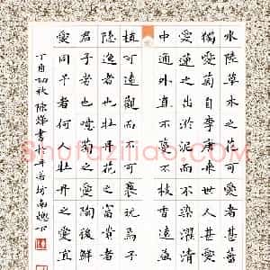 陈烨(成人组 优秀奖)硬笔书法大赛 获奖作品图片欣赏