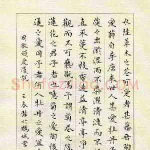 王春艳 硬笔楷书作品《周敦熙爱莲说》图片欣赏