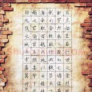 陈金池(少儿组 15岁 铜奖)硬笔书法大赛 获奖作品图片欣赏