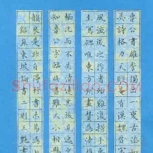 王艳 硬笔楷书作品《苏东坡论书二则》图片欣赏