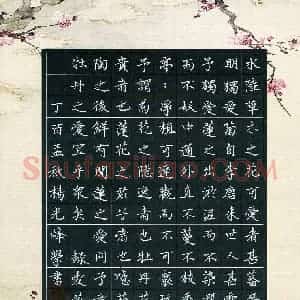 杨光烽(成人组 优秀奖)硬笔书法大赛 获奖作品图片欣赏