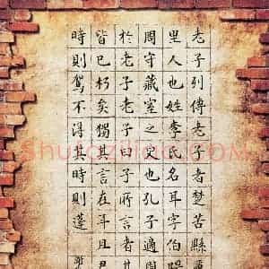 谢佳真(少儿组 12岁 铜奖)硬笔书法大赛 获奖作品图片欣赏
