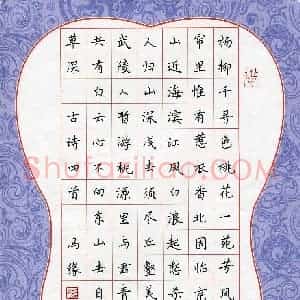 冯缘(少儿组 16岁 金奖)硬笔书法大赛 获奖作品图片欣赏