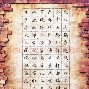 王悦(少儿组 12岁 铜奖)硬笔书法大赛 获奖作品图片欣赏