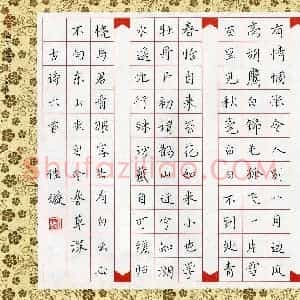 谭佳璇(少儿组 15岁 铜奖)硬笔书法大赛 获奖作品图片欣赏