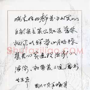 祁斌 硬笔行草作品《王维诗酬张少府》图片欣赏