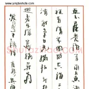 吴舫 硬笔行草作品《渡边寒鸥诗》图片欣赏