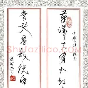李波 硬笔草书作品《王学仲联句》图片欣赏