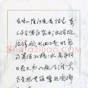 祁斌 硬笔行草作品《陆游诗一首》图片欣赏