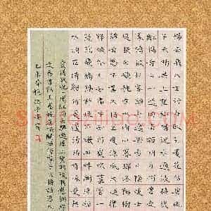 孙予安(少儿组 14岁)硬笔书法大赛 入围作品选登图片欣赏