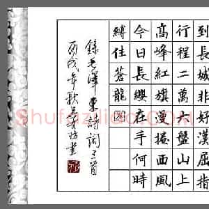 吴有防 硬笔楷书作品《毛泽东诗词三首》图片欣赏