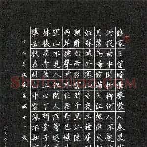 张岚媗(少儿组 11岁 铜奖)硬笔书法大赛 获奖作品图片欣赏