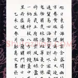 郑惠文(少儿组 15岁)硬笔书法大赛 入围作品选登图片欣赏