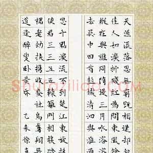 徐嘉(少儿组 14岁)硬笔书法大赛 入围作品选登图片欣赏