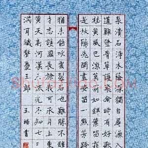 崔玉皓(少儿组 17岁 金奖)硬笔书法大赛 获奖作品图片欣赏