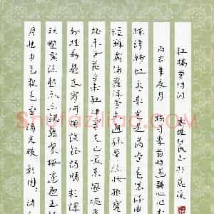 常付民 硬笔草书作品《红楼梦诗词》图片欣赏