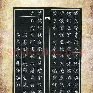 辛潘怡(少儿组 13岁)硬笔书法大赛 入围作品选登图片欣赏