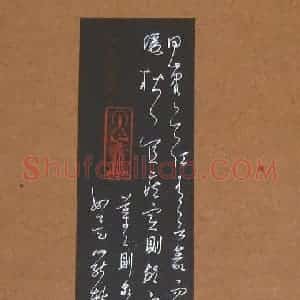 庞科成 硬笔草书作品《书论》图片欣赏