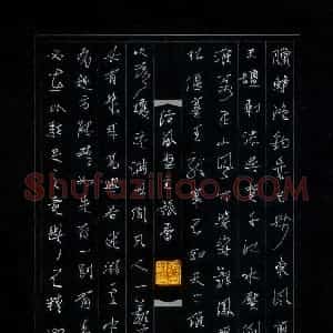 张蕾 硬笔行草作品《古诗选抄》图片欣赏