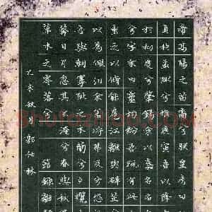郭仕林(少儿组 13岁)硬笔书法大赛 入围作品选登图片欣赏