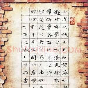 戴才品(成人组 优秀奖)硬笔书法大赛 获奖作品图片欣赏
