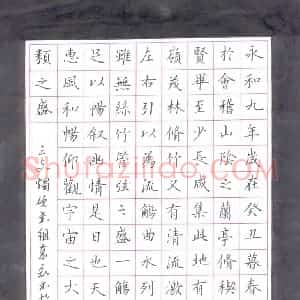 硬笔楷书作品《兰亭序节录》图片欣赏