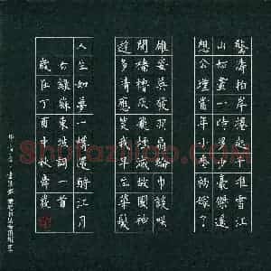 苏舜发(成人组 优秀奖)硬笔书法大赛 获奖作品图片欣赏