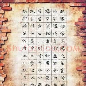 杜泳霓(少儿组 13岁)硬笔书法大赛 入围作品选登图片欣赏
