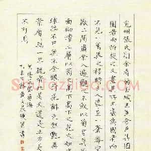 黄文泉 硬笔楷书作品《张岱菊海》图片欣赏