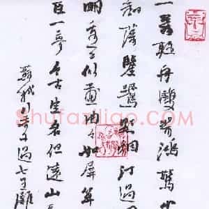 许邦志 硬笔行书作品《苏轼行香子过七里滩》图片欣赏