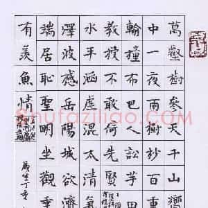 许邦志 硬笔楷书作品《唐诗二首》图片欣赏