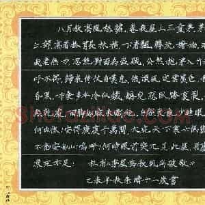 朱晴(少儿组 12岁)硬笔书法大赛 入围作品选登图片欣赏