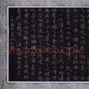 高向前 硬笔楷书作品《岳阳楼记节录》图片欣赏