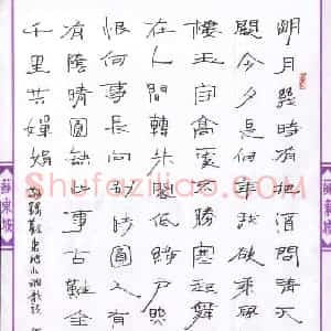 倪锡军 硬笔隶书作品《苏东坡水调歌头》图片欣赏