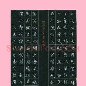 李雯喆(少儿组 13岁)硬笔书法大赛 入围作品选登图片欣赏